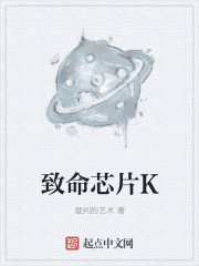 ����оƬK